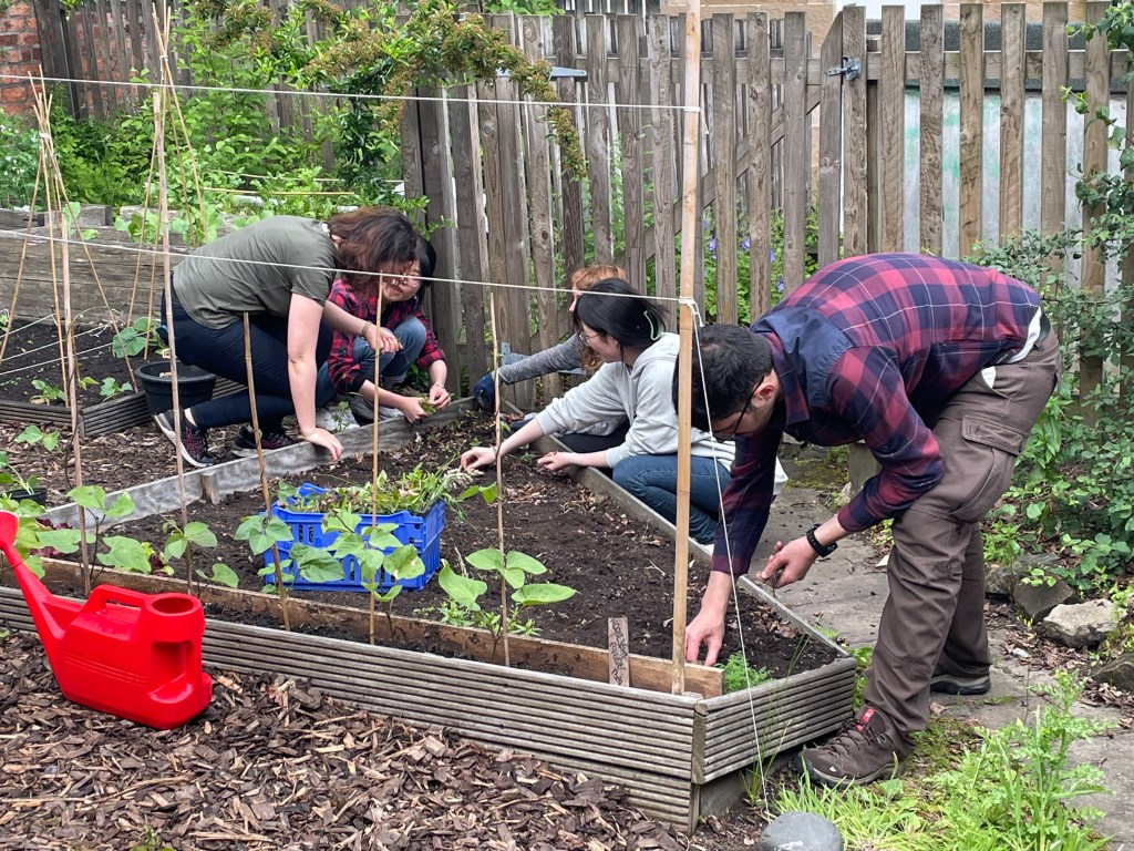 Several PGRs working in the PGR Garden