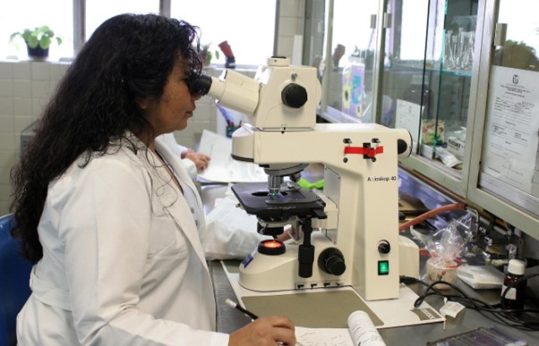 Researcher looking into the microscope