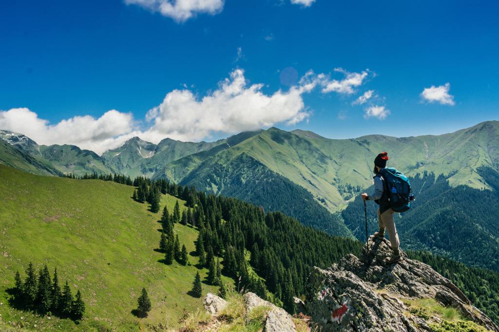 A person standing on a rock and overlooking different landscapes
