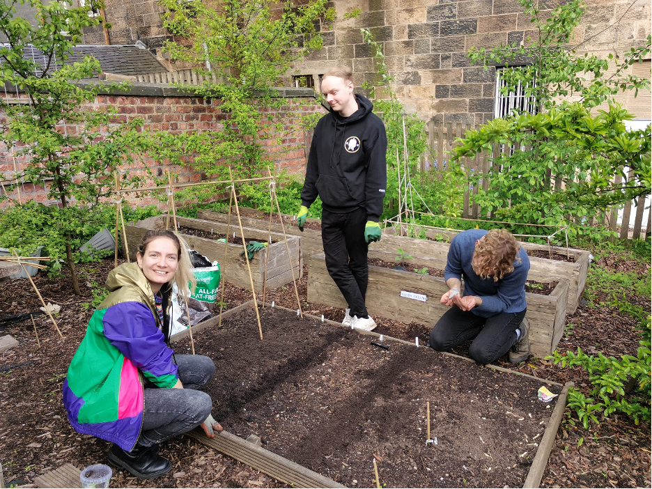 Three garden members including Paola crouch beside a raised bed, empty but with canes set up ready to go.