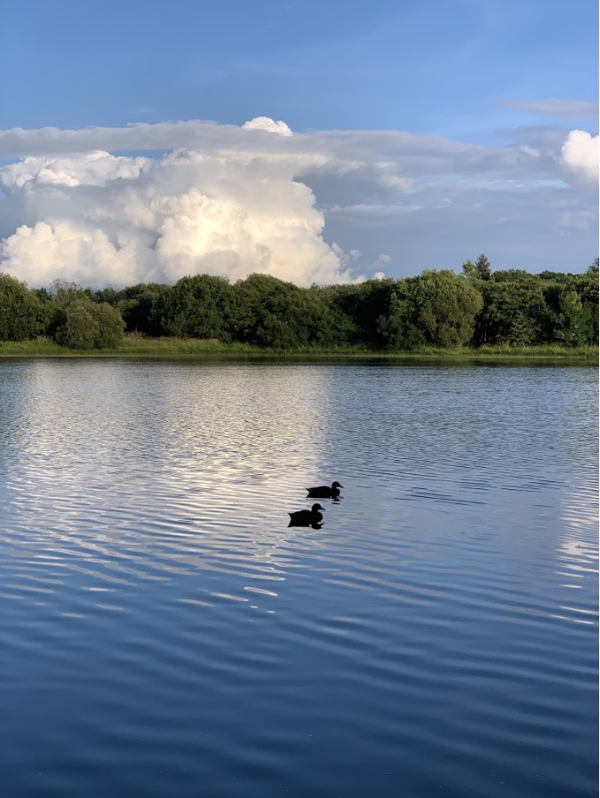 A photograph taken by the author in her local park. The scene depicts sunny, blue skies, greenery, and a calm lake with two dark silhouettes of ducks. 