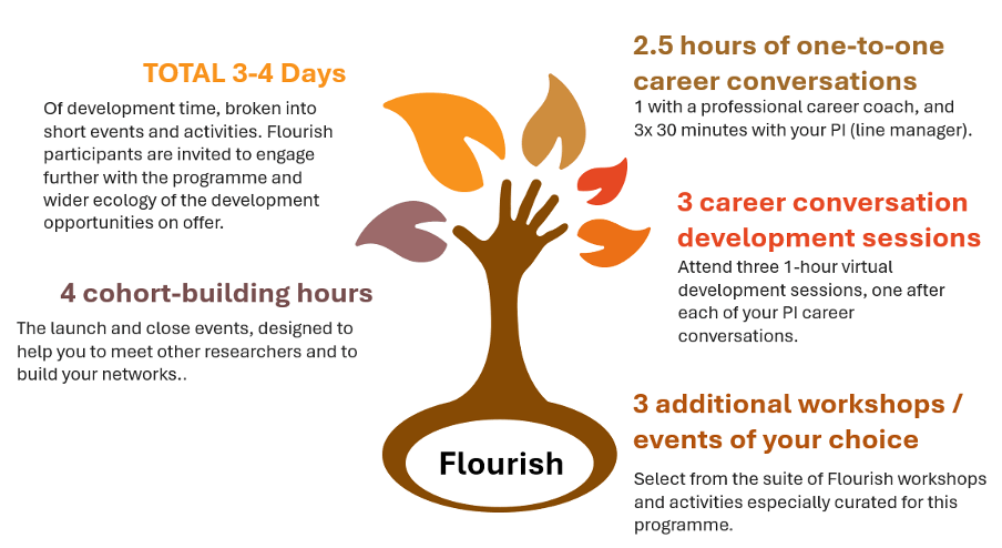 Image of Flourish 2025 programme components: cohort building, career conversations, development workshops.