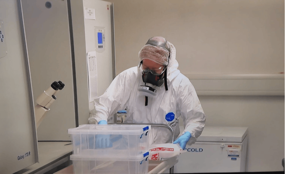 A white woman with red hair working in a laboratory. She is wearing a large respirator mask, safety glasses and a hairnet meaning not much of her face is visable. She also wears a "hazmat" type suit and is removing a container from a biohazard bag.
