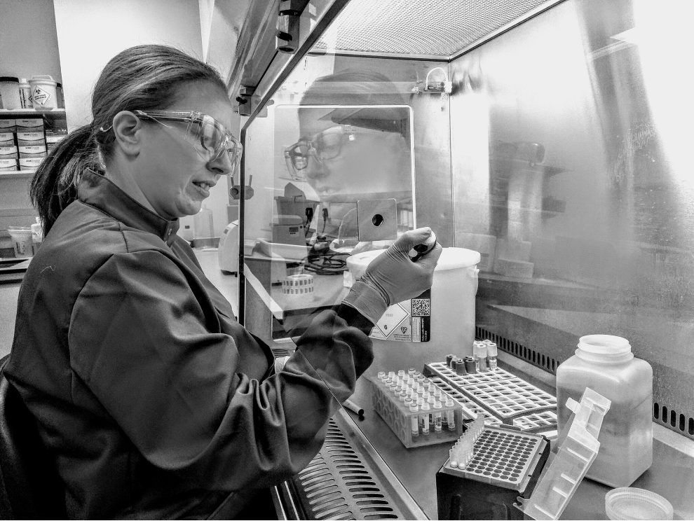 A black and white image of a white woman wearing a lab coat, gloves and safety glasses pipetting within in a microbiological safety cabinet. Within the cabinet there are racks of tubes, pipette tips and waste containers.